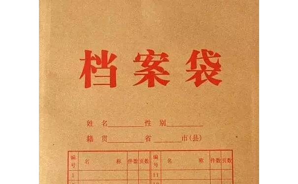 档案袋