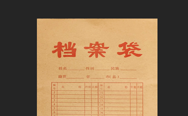档案内容