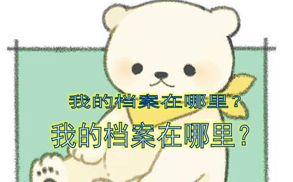 个人档案