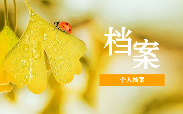 个人档案
