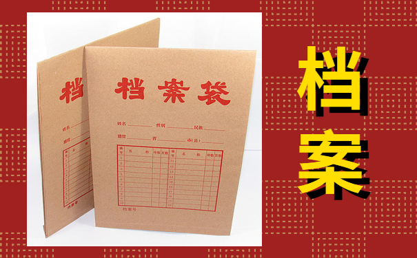 档案查询