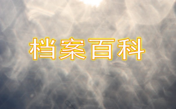 档案百科