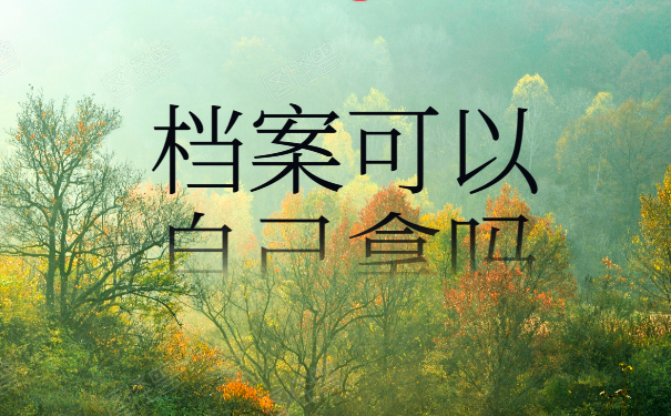 档案