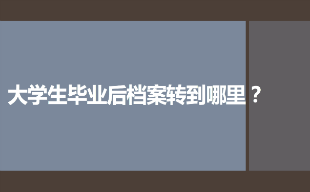 档案