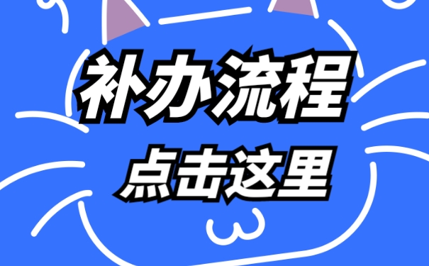 补办流程