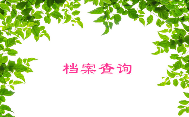档案查询