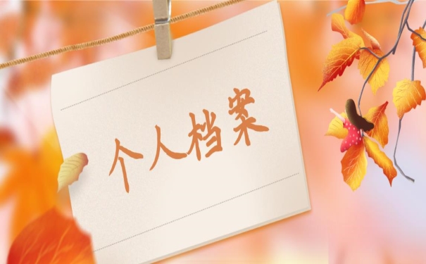个人档案