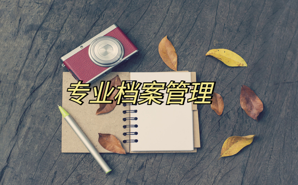 档案管理
