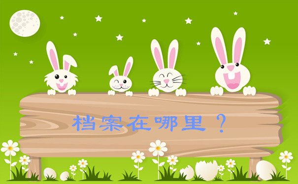 档案在哪里