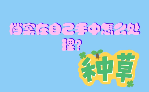 档案在自己手里