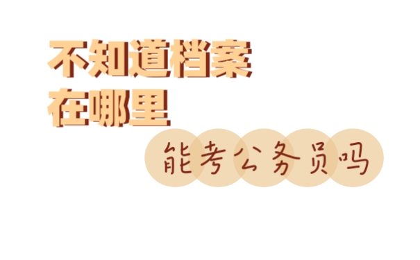 档案