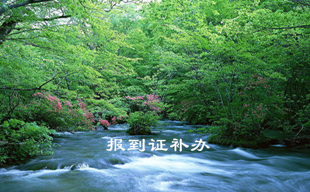 报到证补办