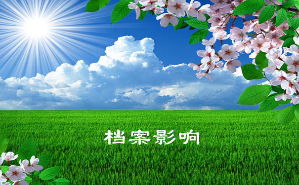 档案影响