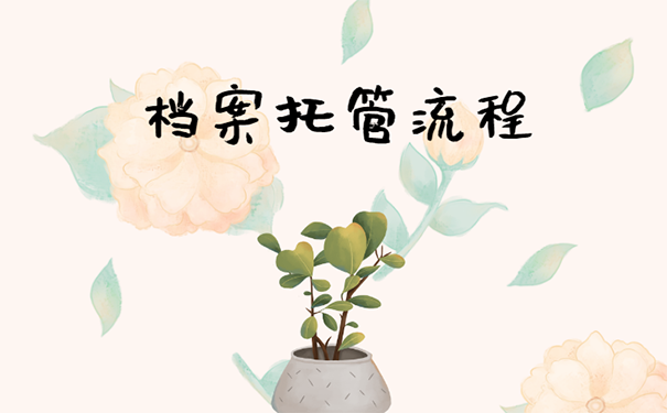 档案能放到人才吗