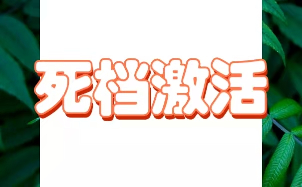 死档激活