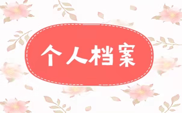 个人档案