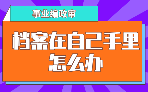 事业编政审档案