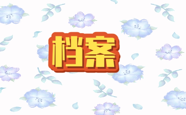档案