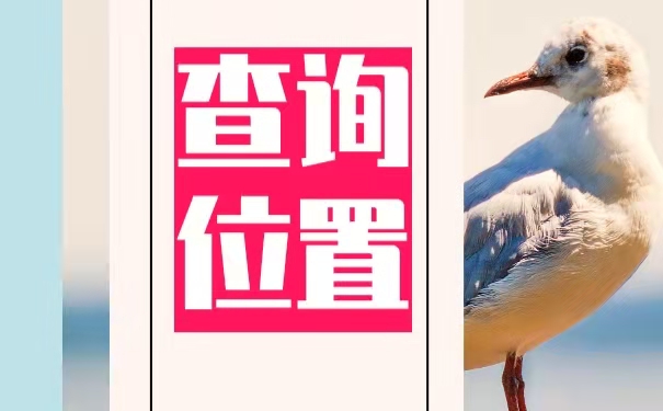 查询位置