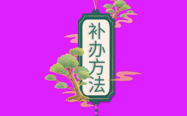 补办流程