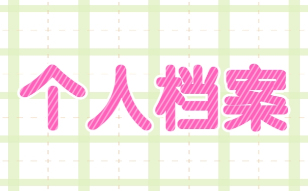 个人档案