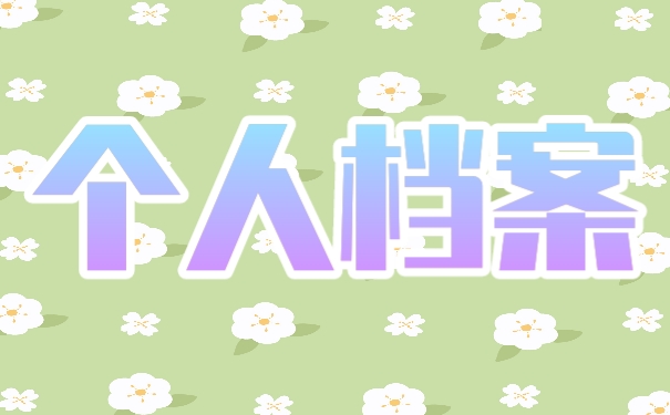 个人档案