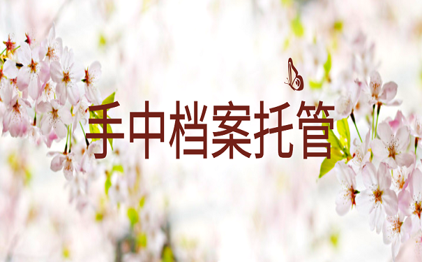 手中档案托管