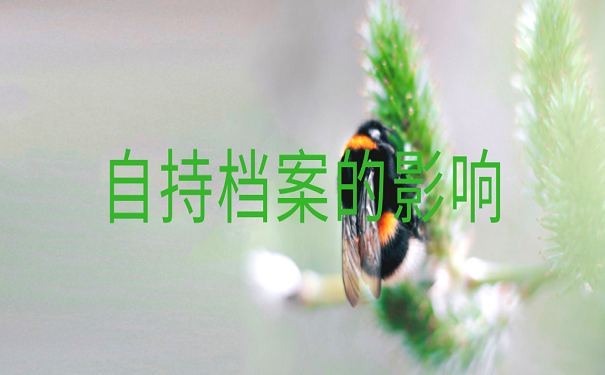 自持档案的影响