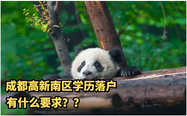 学历落户政策