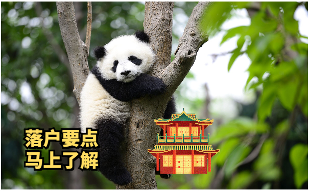 学历落户政策