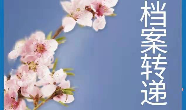 档案转出手续