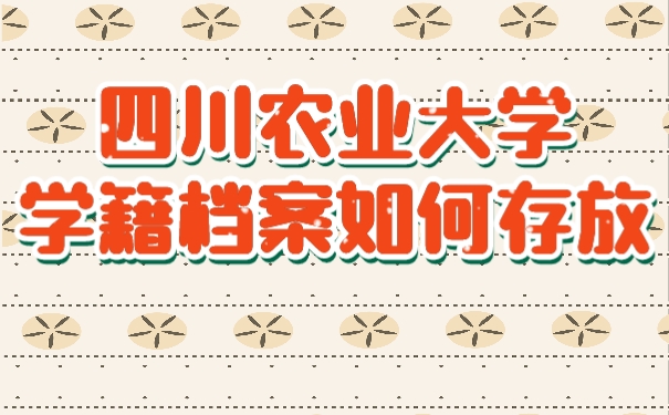 学籍档案