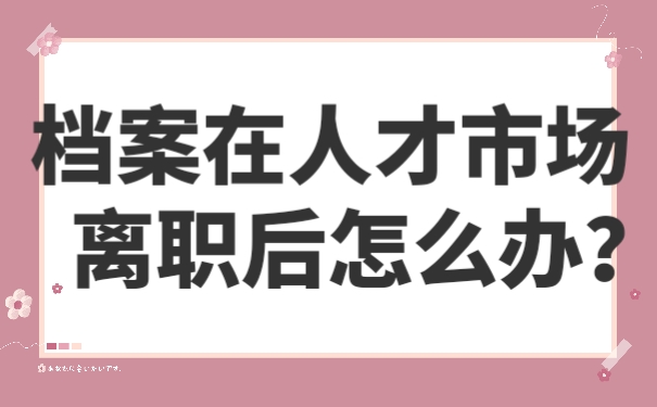 档案