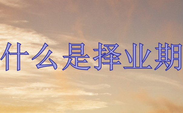 择业期