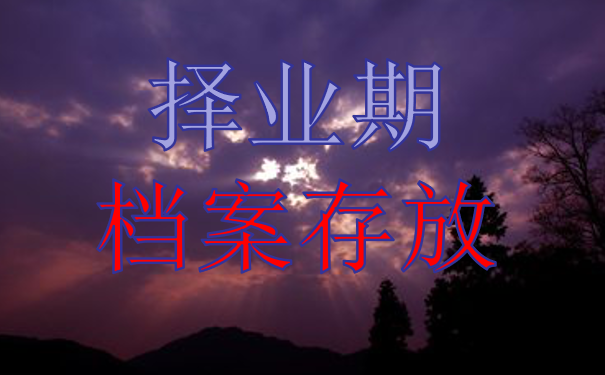 择业期档案存放
