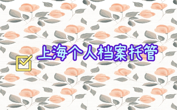个人档案
