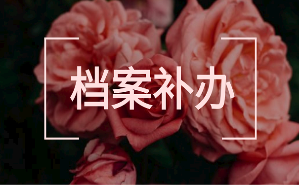 档案补办