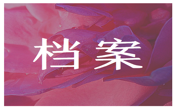 档案