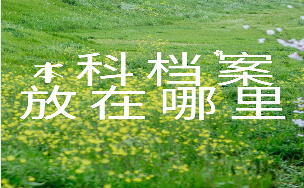 本科档案放在哪里