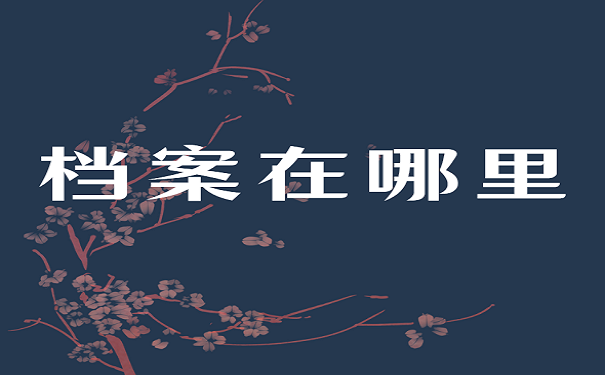 档案在哪里