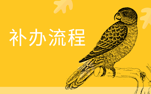 补办流程