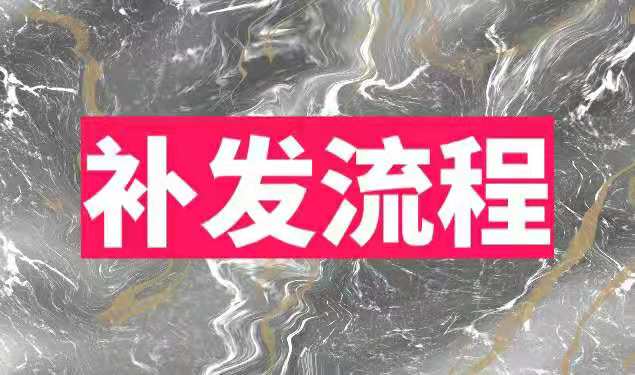 补办流程
