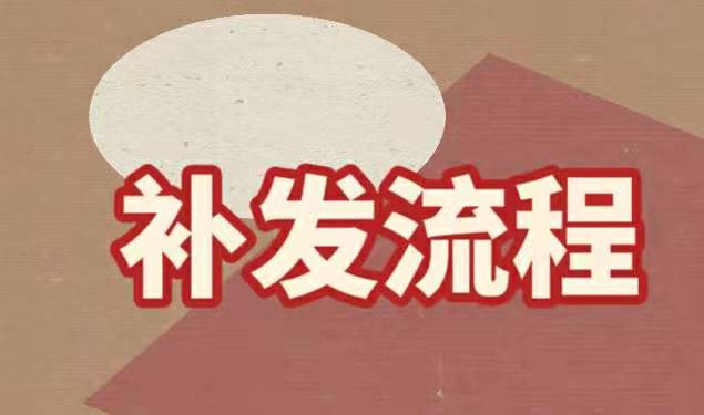 补办流程
