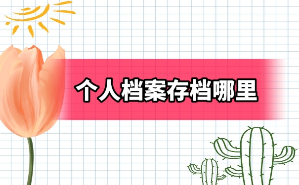 个人档案