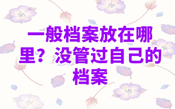 档案在哪