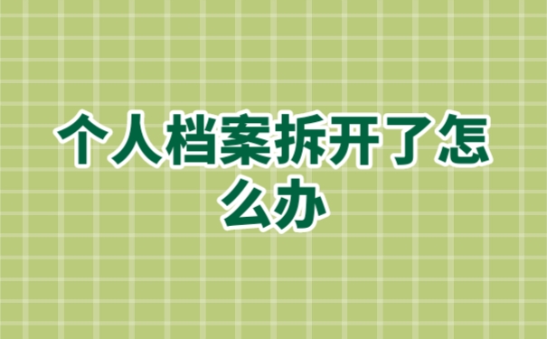 个人档案