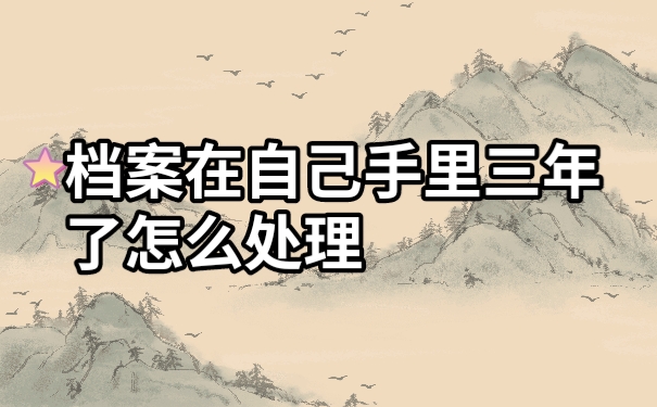 档案在手
