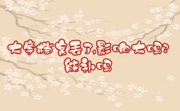 档案丢了