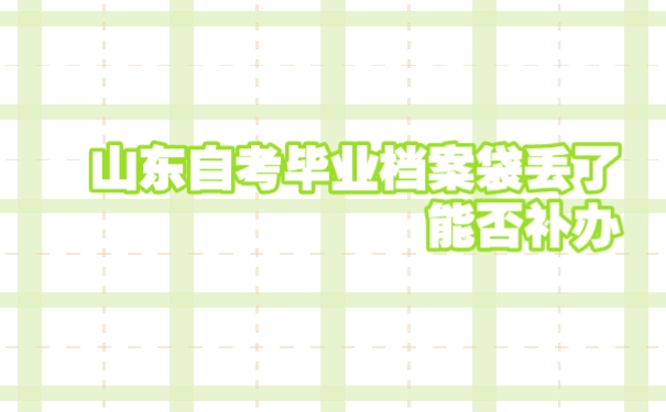 档案丢了