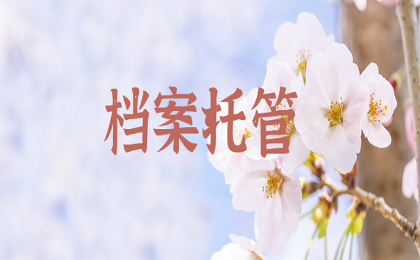 档案托管